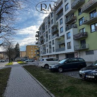 Pronájem ostatní nemovitosti 11 m² Pardubice, Boženy Vikové-Kunětické