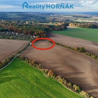 Prodej stavební parcely 8 502 m² Týn nad Vltavou