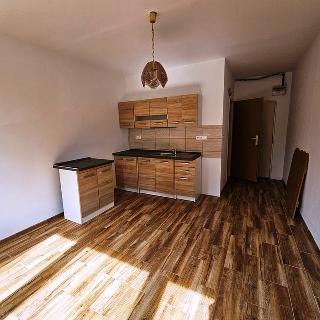 Pronájem bytu 1+kk, garsoniery 20 m² Tábor