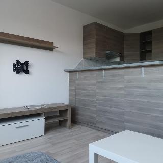 Pronájem bytu 2+kk 50 m² Liberec, Olbrachtova