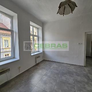 Pronájem bytu 1+1 45 m² České Budějovice, Riegrova