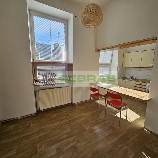 Pronájem bytu 2+kk 55 m² České Budějovice, Antala Staška