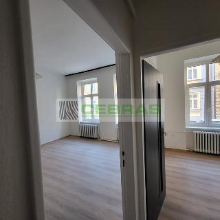 Pronájem bytu 3+1 80 m² České Budějovice, Riegrova