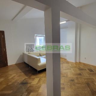 Pronájem bytu 3+1 91 m² České Budějovice, Dr. Stejskala