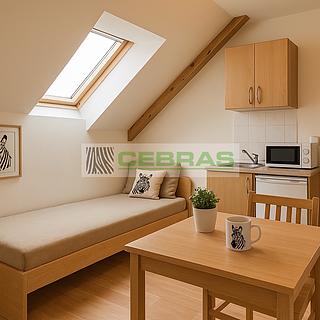 Pronájem bytu 1+kk, garsoniery 25 m² České Budějovice