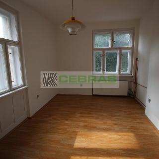 Pronájem bytu 1+kk a garsoniéry 24 m² České Budějovice, Havlíčkova