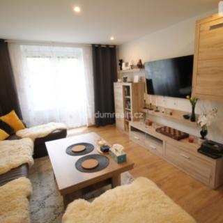 Prodej bytu 2+1 56 m² Horní Slavkov, Zahradní