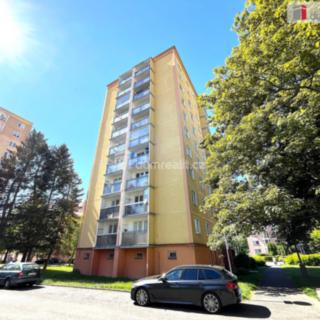 Pronájem bytu 2+1 48 m² Sokolov, Růžové náměstí
