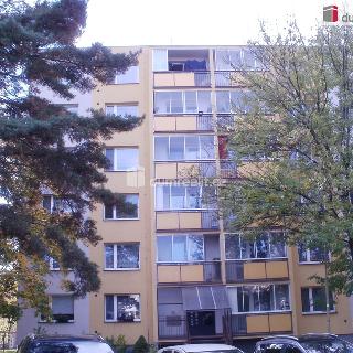 Pronájem bytu 3+1 74 m² Valašské Meziříčí, Tolstého