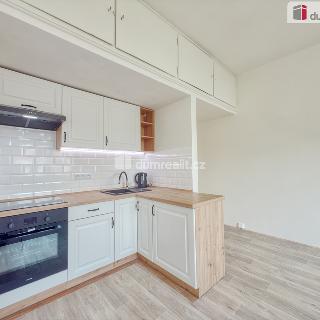 Pronájem bytu 2+kk 55 m² Ústí nad Labem, Střekovské nábřeží