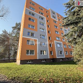 Pronájem bytu 2+1 56 m² Česká Lípa, Severní