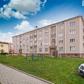 Prodej bytu 2+1 61 m² Ostrov, Hlavní třída