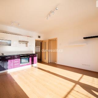 Pronájem bytu 2+kk 47 m² České Budějovice, B. Smetany