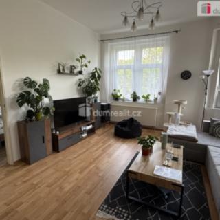 Pronájem bytu 2+1 57 m² Ústí nad Labem Klíše, Šaldova
