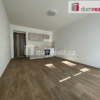 Pronájem bytu 1+kk a garsoniéry 23 m² Opava, třída Spojenců