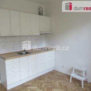 Pronájem bytu 1+kk a garsoniéry 21 m² Praha, Ve struhách