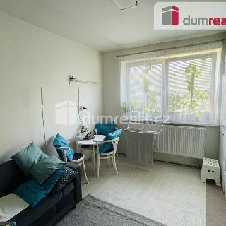 Pronájem bytu 2+1 45 m² Velké Bílovice, Svárov