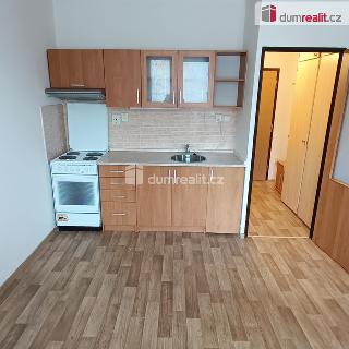 Pronájem bytu 1+1 36 m² Děčín, Vítova