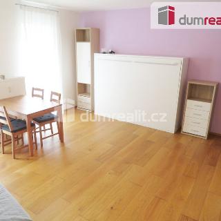 Pronájem bytu 1+kk a garsoniéry 41 m² Praha, Ve vrchu