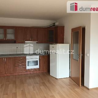 Pronájem bytu 2+kk 45 m² Praha, Ve slatinách