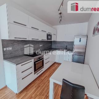 Pronájem bytu 2+kk 59 m² Praha, Nusle