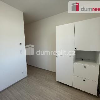 Pronájem bytu 2+1 53 m² Břeclav, Riegrova