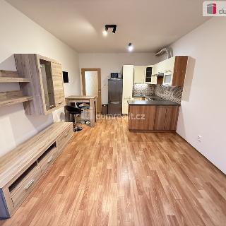 Pronájem bytu 2+kk 49 m² Praha, Herlíkovická