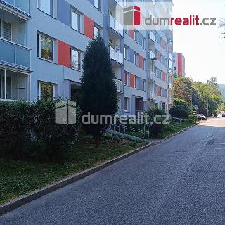 Prodej bytu 1+1 36 m² Děčín, Jezdecká