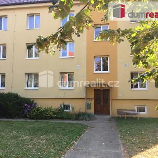 Pronájem bytu 2+1 50 m² Mělník, Studentská