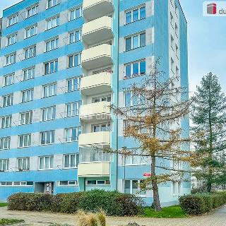 Pronájem bytu 3+1 74 m² České Budějovice, Fr. Ondříčka