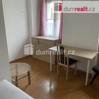 Pronájem bytu 1+kk a garsoniéry 17 m² Praha, Zenklova