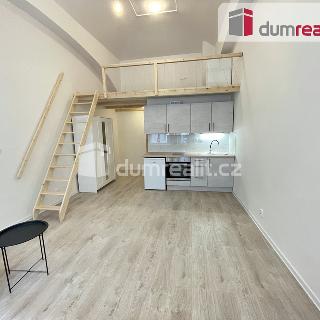 Pronájem bytu 1+kk a garsoniéry 42 m² Praha, Na Valentince