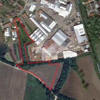 Prodej komerčního pozemku 13494 m² Podivín