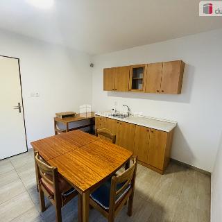 Pronájem rodinného domu 45 m² Mutěnice, Slovácká