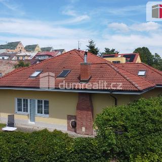 Prodej rodinného domu 456 m² Mladá Boleslav, Viničná