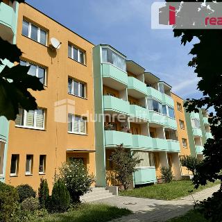 Pronájem bytu 2+1 51 m² Otrokovice, Lidická