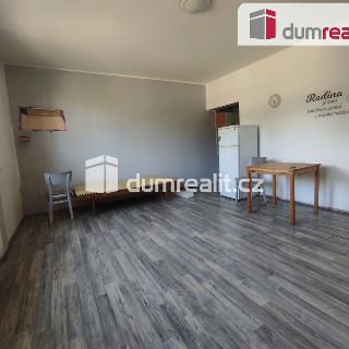 Prodej bytu 1+kk a garsoniéry 35 m² Nymburk, Kostomlátecká