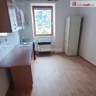 Pronájem bytu 1+1 44 m² Děčín, Fibichova