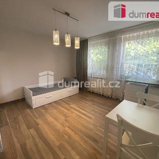 Pronájem bytu 1+kk a garsoniéry 25 m² Velké Bílovice, Mírová