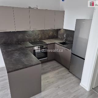 Pronájem bytu 1+kk a garsoniéry 32 m² České Budějovice, Vrbenská