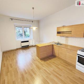 Pronájem bytu 2+kk 55 m² Praha, Mrštíkova