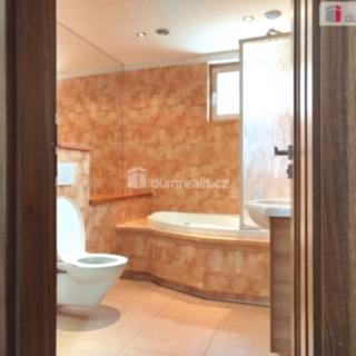 Pronájem bytu 2+1 58 m² Ostrov