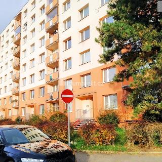 Pronájem bytu 1+1 35 m² Ústí nad Labem, Zvonková