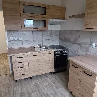 Pronájem bytu 2+1 50 m² Luštěnice, Zelená