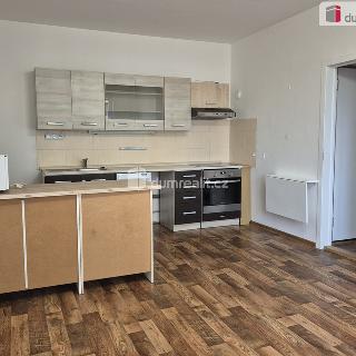 Prodej bytu 2+kk 40 m² České Budějovice, J. Bendy