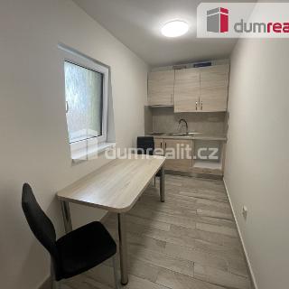 Pronájem bytu 2+1 38 m² Mikulov, Zámecká