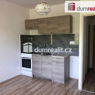 Pronájem bytu 1+1 36 m² Ústí nad Labem, Tolstého