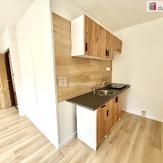 Pronájem bytu 1+kk a garsoniéry 31 m² Ústí nad Labem, Anežky České