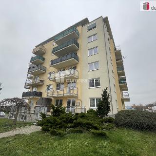 Pronájem bytu 2+kk 44 m² Příbram, K Drkolnovu