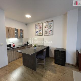 Pronájem bytu 1+kk, garsoniery 40 m² Valtice